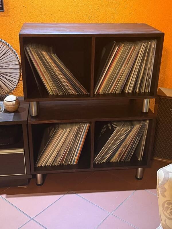 Vinyl Storage Unit (Modular)