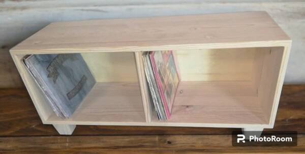 Vinyl Storage Unit (Modular) - Image 2
